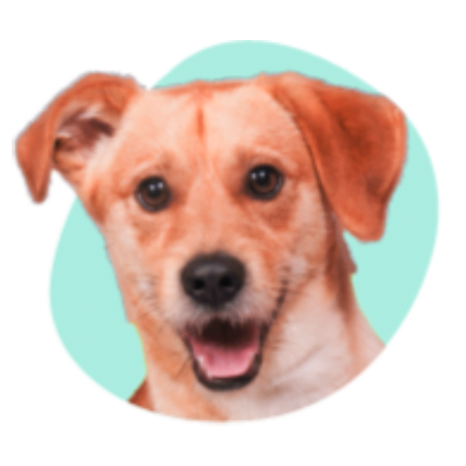 DKProducts - Dierenwinkel